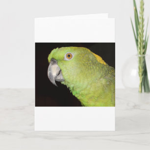 Cartão Yellownape Amazon