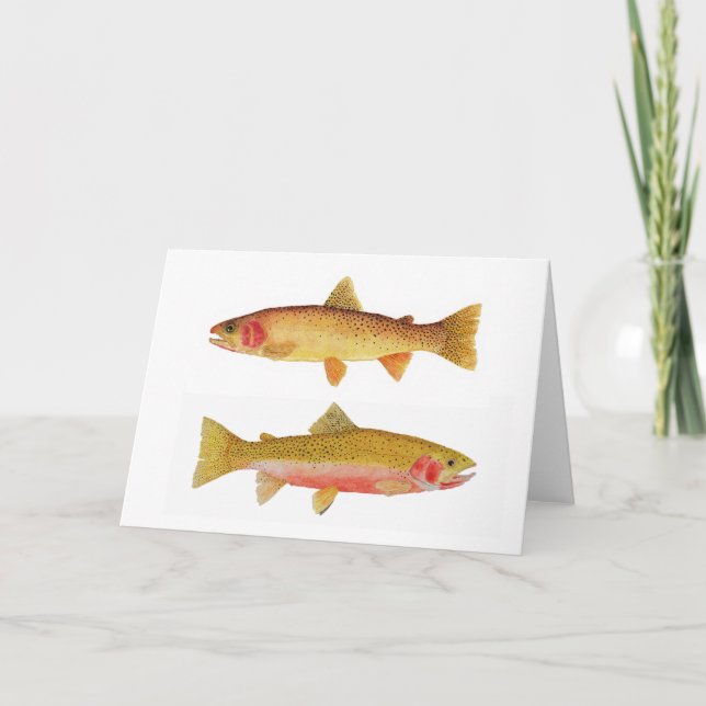 Cartão Yellowstone & truta de Cutthroat de Westslope (Frente)