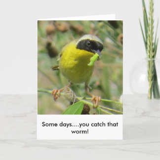 Cartão Yellowthroat