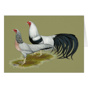 Cartão Yokohama: Par de Duque de Prata