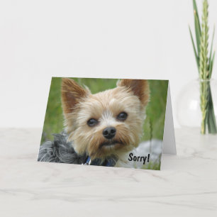 Cartão Yorkie