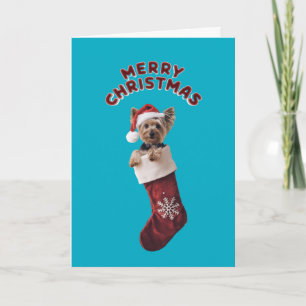 Cartão Yorkie Christmas Stocks