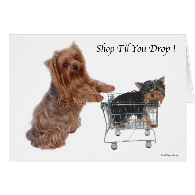 Cartão Yorkie Compre Até Você Cair (Frente Horizontal)