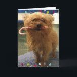 Cartão Yorkie Dog Candy Cane Christmas Card<br><div class="desc">Beautiful little Yorkie Holding A candy cane Saying "licks and Kisses,  Have a PAWsome Christmas</div>