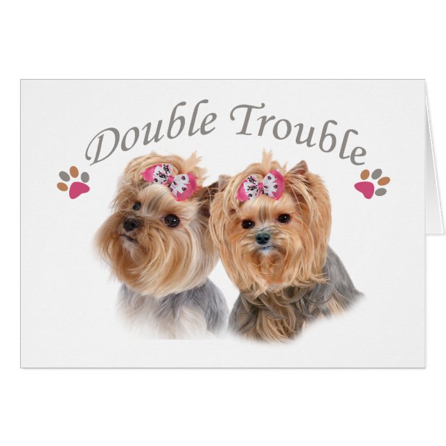 Cartão Yorkie Double Trouble (Frente Horizontal)