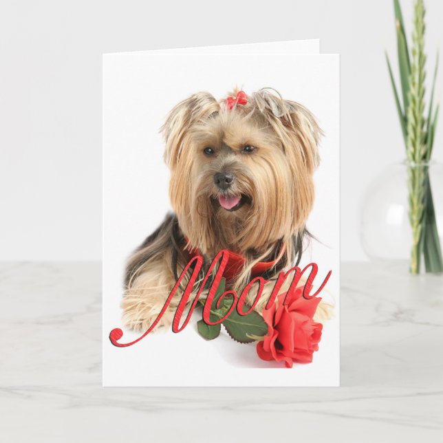 Cartão Yorkie e rosa vermelha (MAMÃ) (Frente)