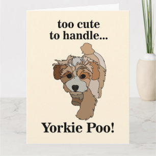 Cartão Yorkie Poo Yorkipoo Cachorro