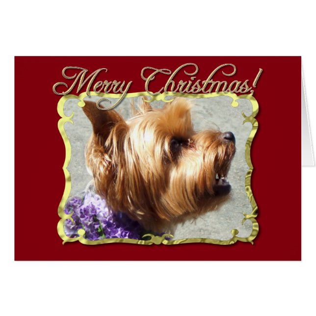 Cartão Yorkshire Terrier dog (Frente Horizontal)