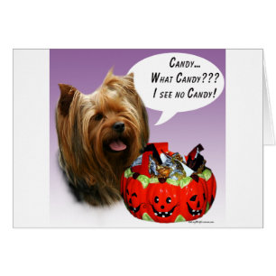 Cartão Yorkshire Terrier Halloween Candy