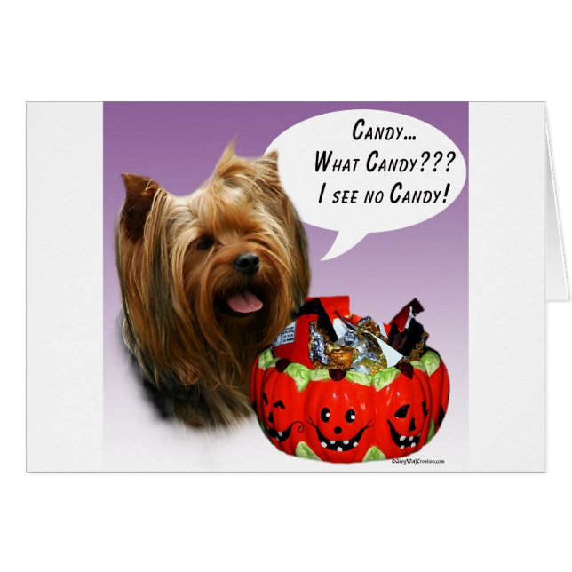 Cartão Yorkshire Terrier Halloween Candy (Frente Horizontal)