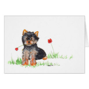 Cartão Yorkshire terrier pup