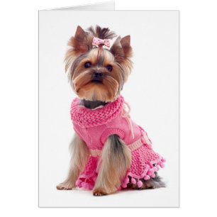 Cartão Yorkshire Terrier Puppy Dog Vazio Card