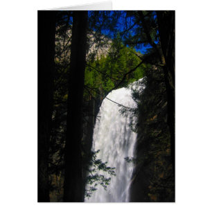 Cartão yosemite cai em árvores