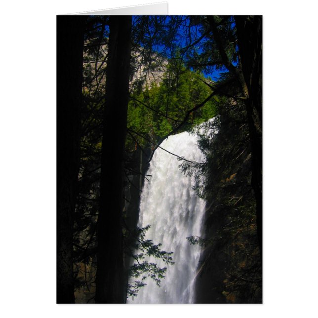 Cartão yosemite cai em árvores (Frente)