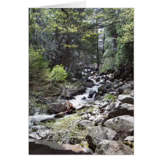 Cartão Yosemite em Springtime: Bridalveil Cai na Trilha