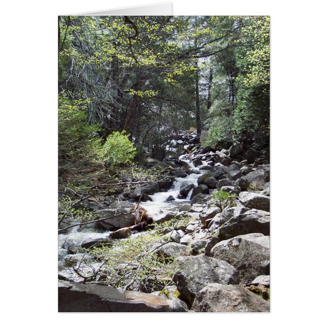 Cartão Yosemite em Springtime: Bridalveil Cai na Trilha (Frente)