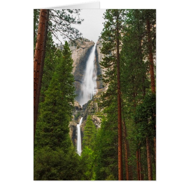 Cartão Yosemite Falls através da Floresta (Frente)