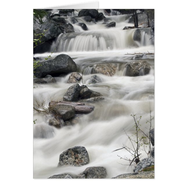 Cartão Yosemite nº 3 (Frente)