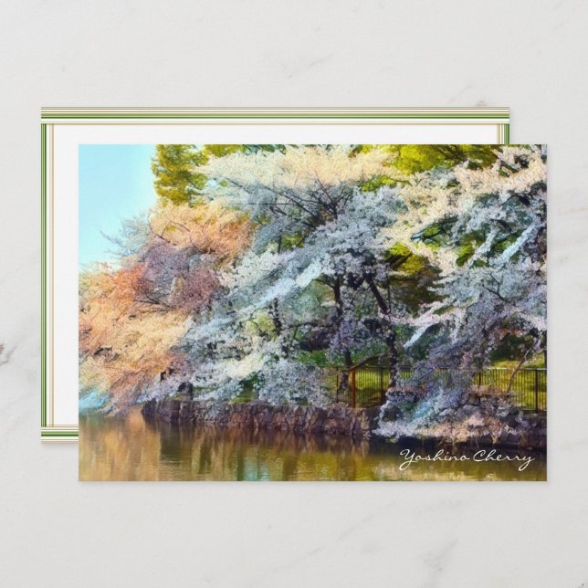 Cartão Yoshino Cherry: Flat Card (Frente/Verso)