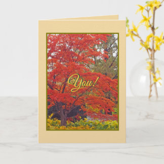 CARTÃO "YOU ADD COLOR TO MY WORLD/HAPPY BIRTHDAY"