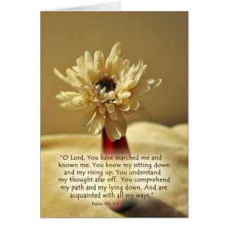 Cartão YouhavesearchedmeZazzle