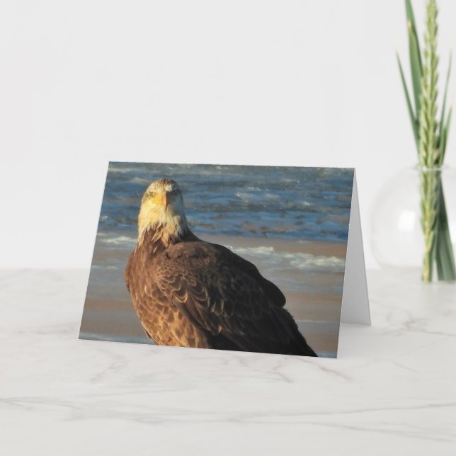 Cartão Young Bald Eagle on the Beach Birthday Card (Frente)