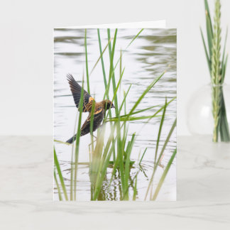 Cartão Young Bird in Flight