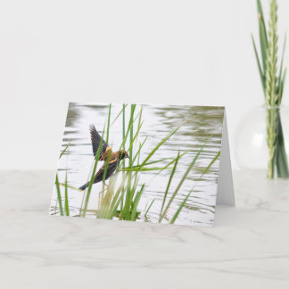 Cartão Young Bird in Flight