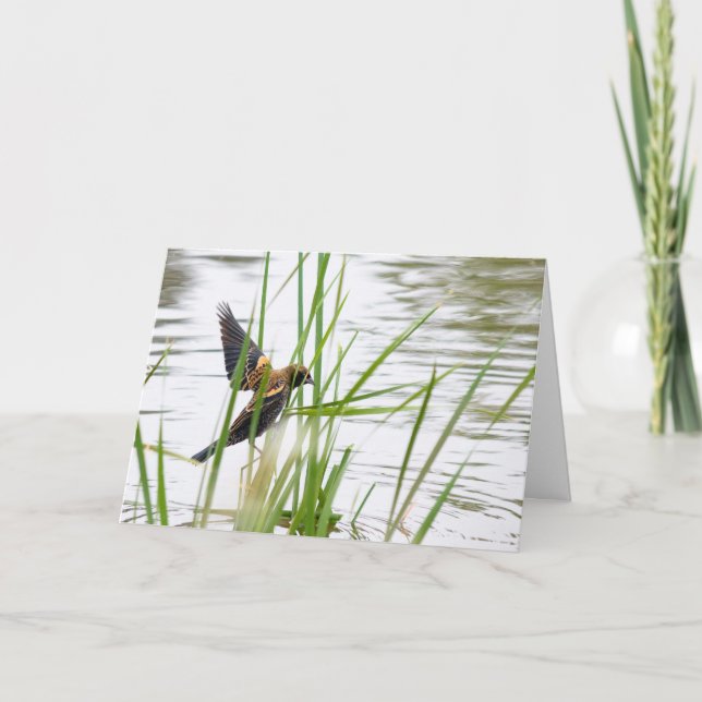 Cartão Young Bird in Flight (Frente)