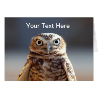 Cartão Young Burrowing Owl
