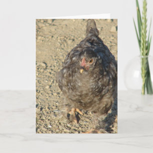 Cartão Young Chicken