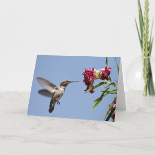 Cartão Young Hummer Greeting Card