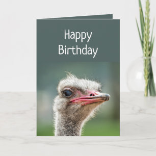 Cartão Young Once Your Turn Over Judgemental Ostrich