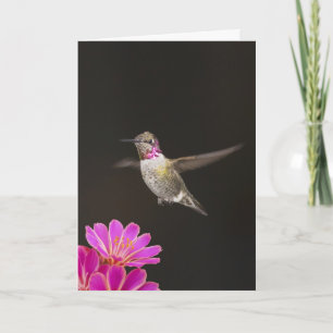 CARTÃO YOU'RE A HUMMER BIRTHDAY CARD