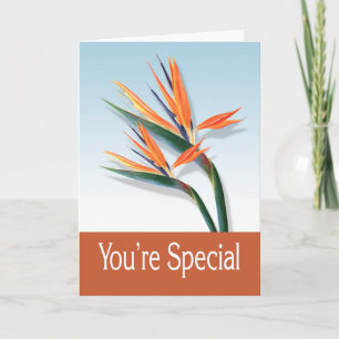 Cartão You're Special Greeting Card