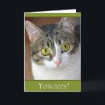 Cartão Yowzers<br><div class="desc">Cartão de aniversário</div>