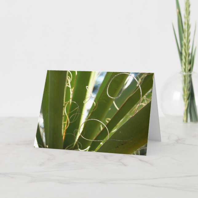 Cartão Yucca deixa fotografia verde da natureza (Frente)