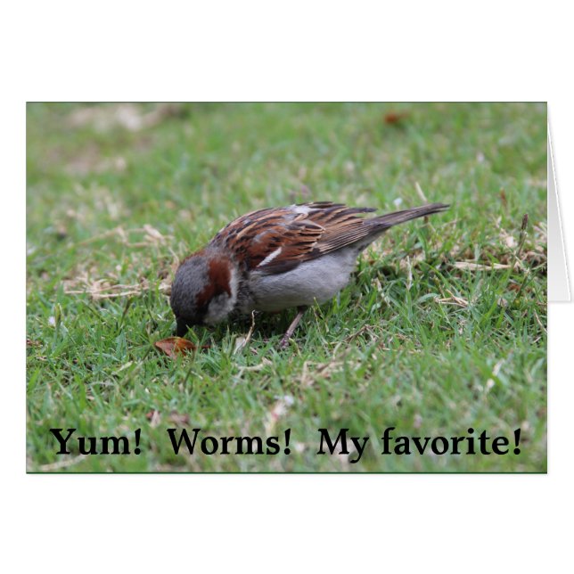 Cartão Yum!  Sem-fins! (Frente Horizontal)