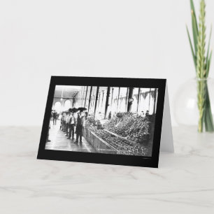 Cartão Zacatecas, Mercado de Comidas do México, 1904