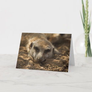 Cartão Zaphod's 12th Birthday Card 4