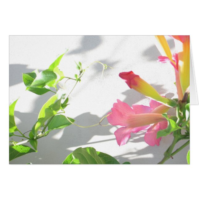 Cartão Zazzle II (Frente Horizontal)