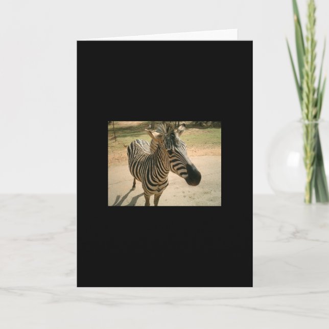 Cartão Zebra (Frente)