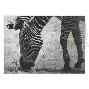 Cartão Zebra Crackle