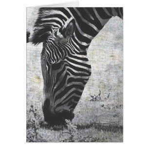 Cartão Zebra Crackle
