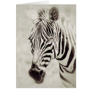 Cartão Zebra: Mais Próximo e Pessoal