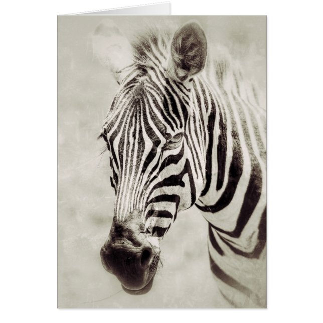 Cartão Zebra: Mais Próximo e Pessoal (Frente)
