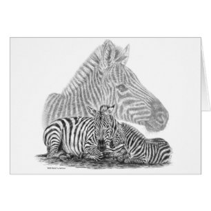 Cartão Zebra Mare e Foal Pencil Desenho de Kelli Swan