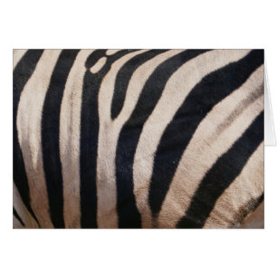 Cartão Zebra Stripes Negra e Branca