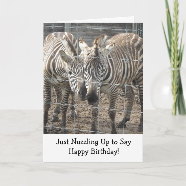 Cartão Zebras se esfregando (Frente)