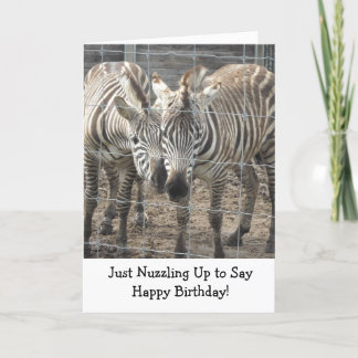 Cartão Zebras se esfregando